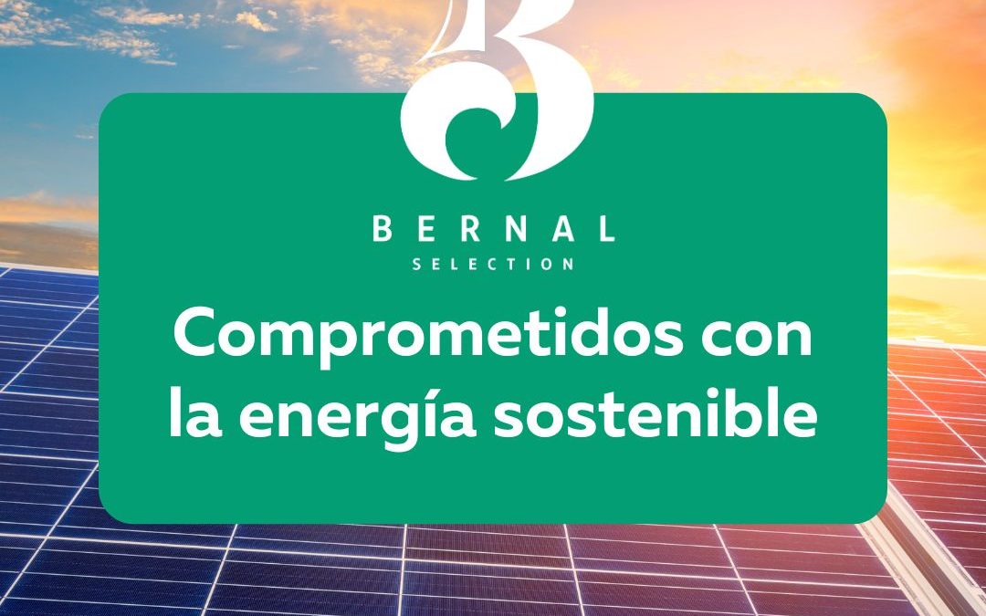 Cebollas Bernal: comprometidos con la energía sostenible
